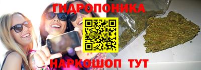 шишки Среднеуральск