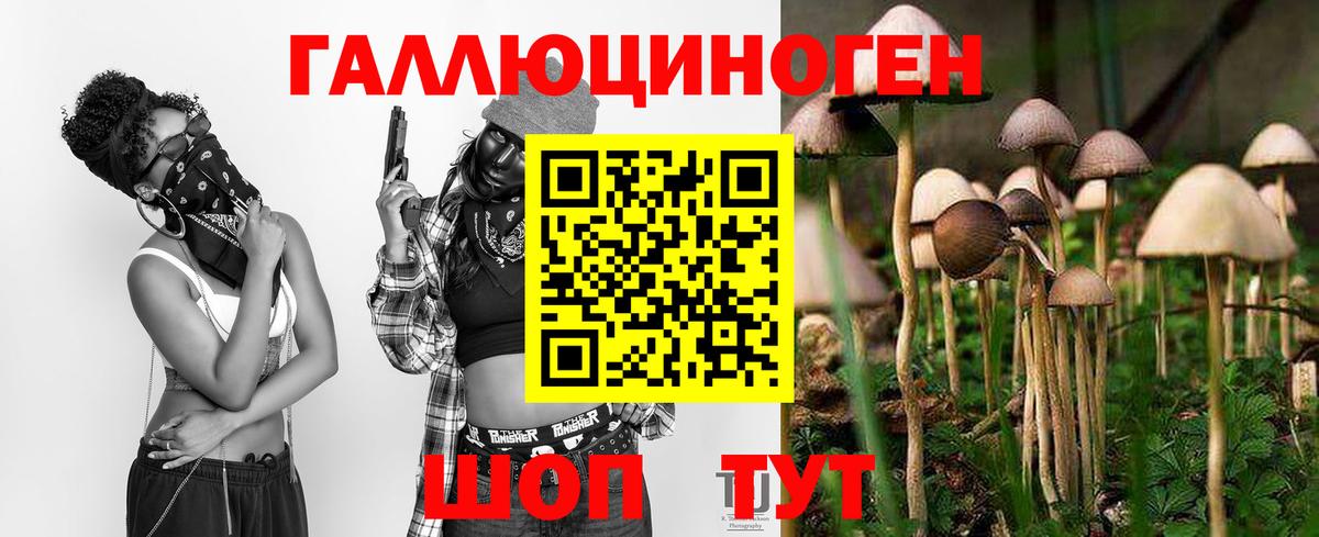 где найти наркотики  Вход с VPN  Галлюциногенные грибы мицелий  Новокубанск  Псилоцибиновые грибы Magic Shrooms 